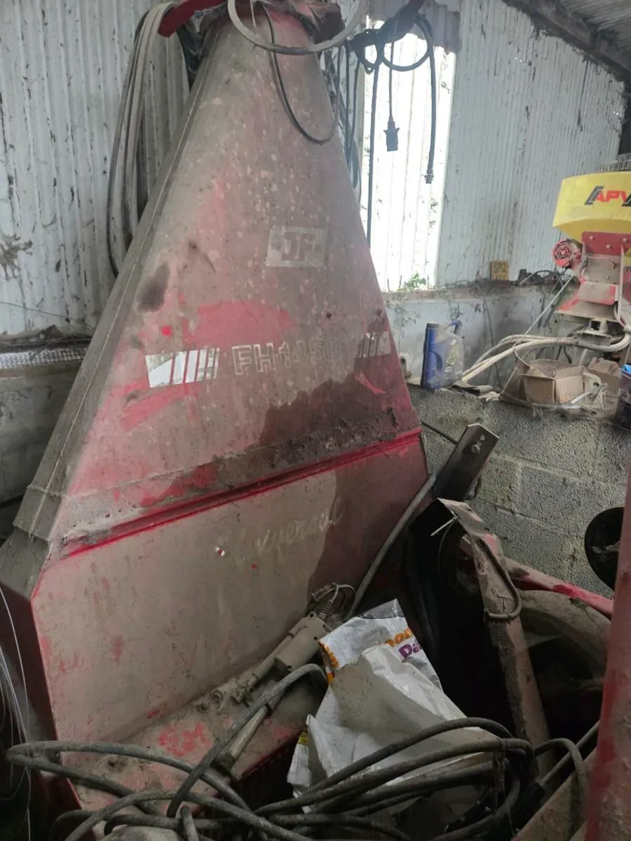 Jf single chops - Image 3