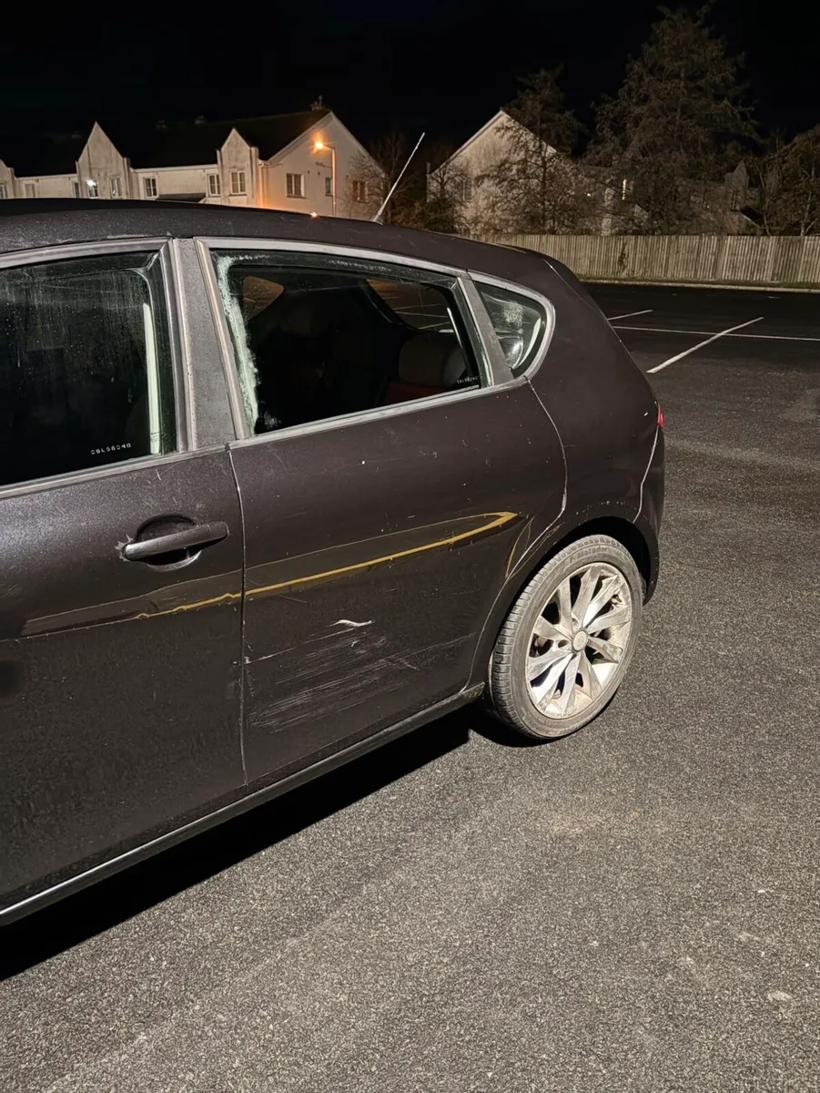 Seat Leon 1.9TDI 2009 - Image 3