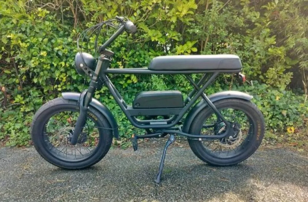 1000 Watt fat Tyre E-bike - Image 1