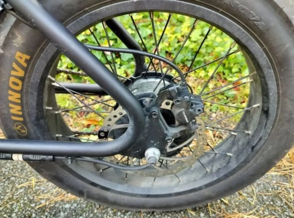 1000 Watt fat Tyre E-bike - Image 2