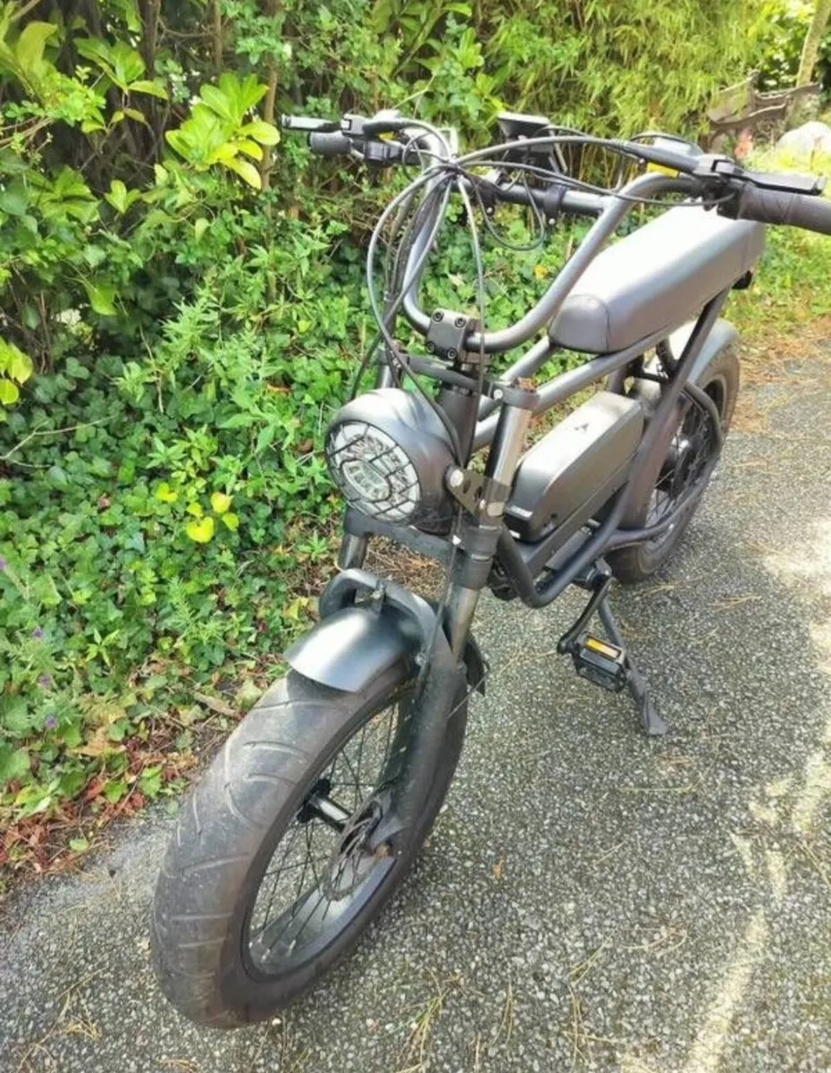 1000 Watt fat Tyre E-bike - Image 3