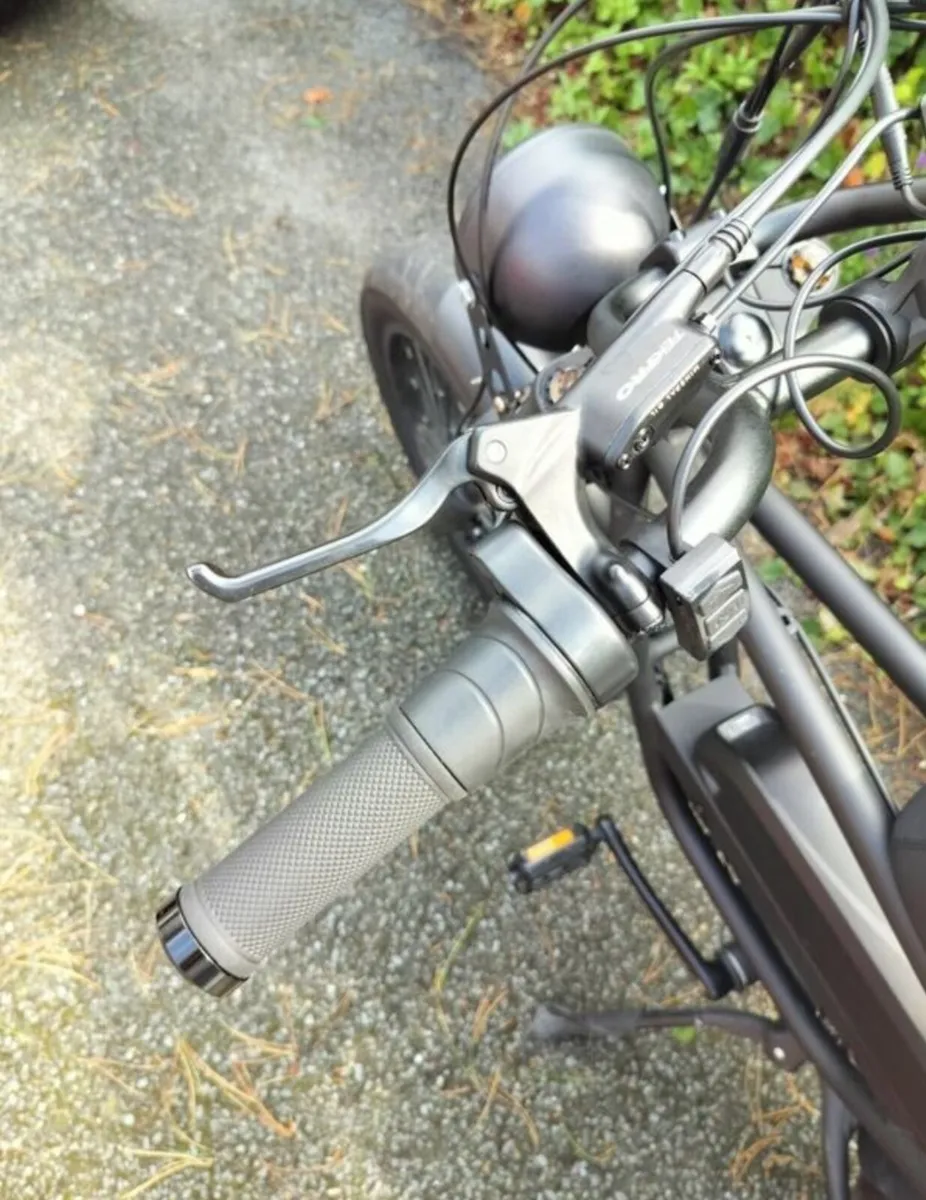 1000 Watt fat Tyre E-bike - Image 4