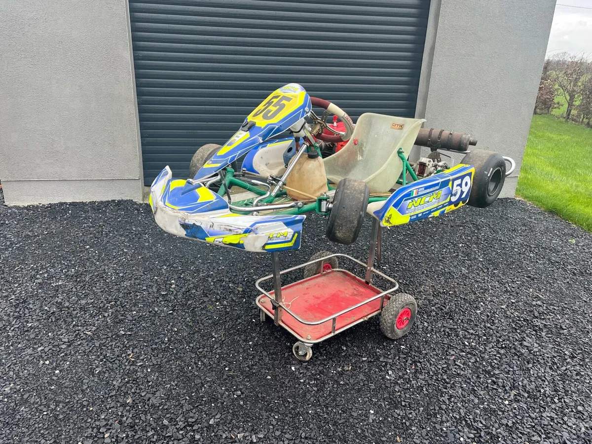 OTK Tony Kart Kosmic Cadet - Image 1
