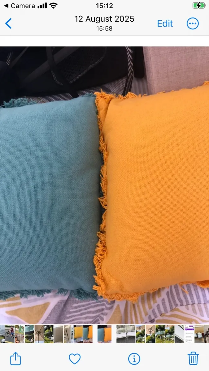 Two Pretty Cushions - Image 1