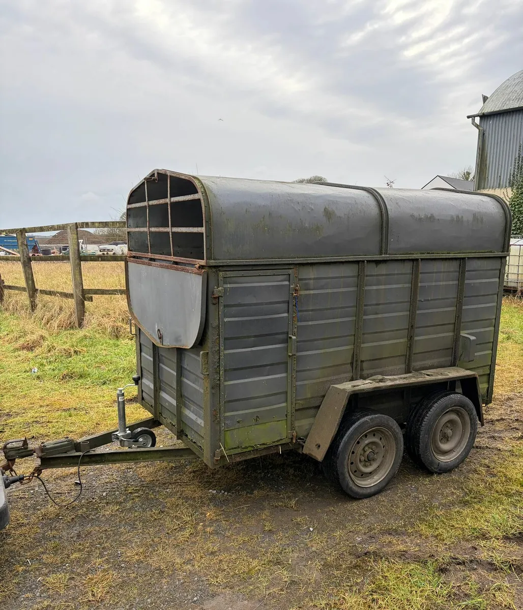 8by4 cattle trailer for sale - Image 2