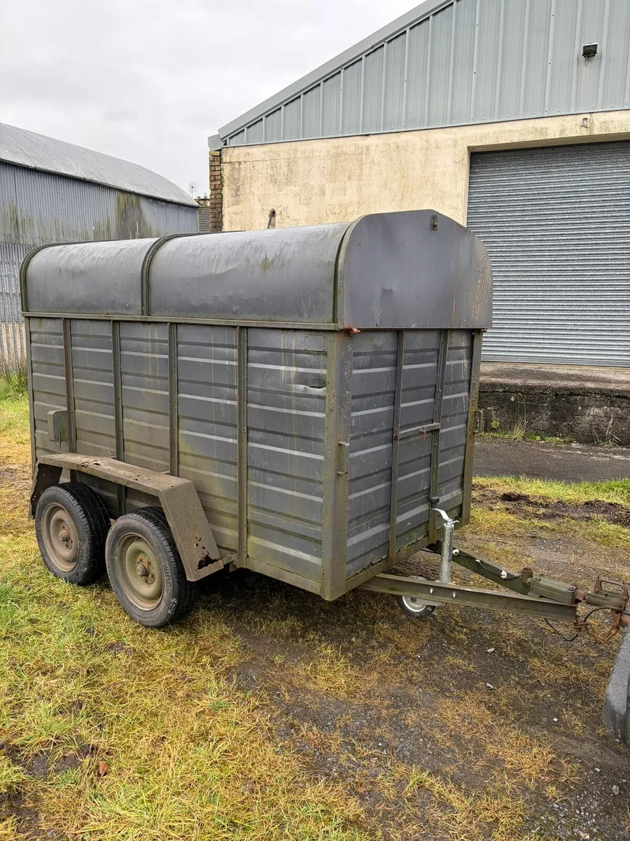 8by4 cattle trailer for sale - Image 4