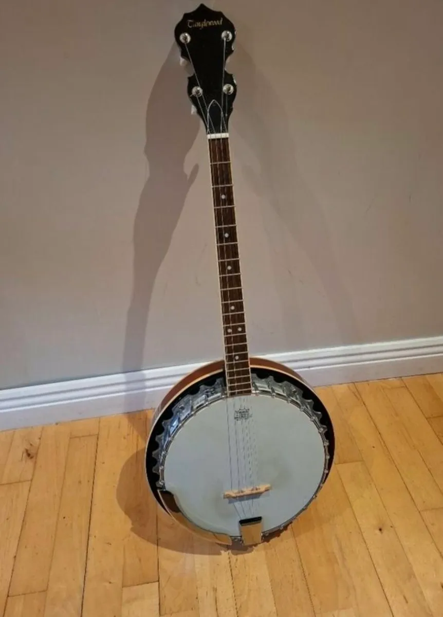 Tanglewood Tenor Banjo for sale - Image 2