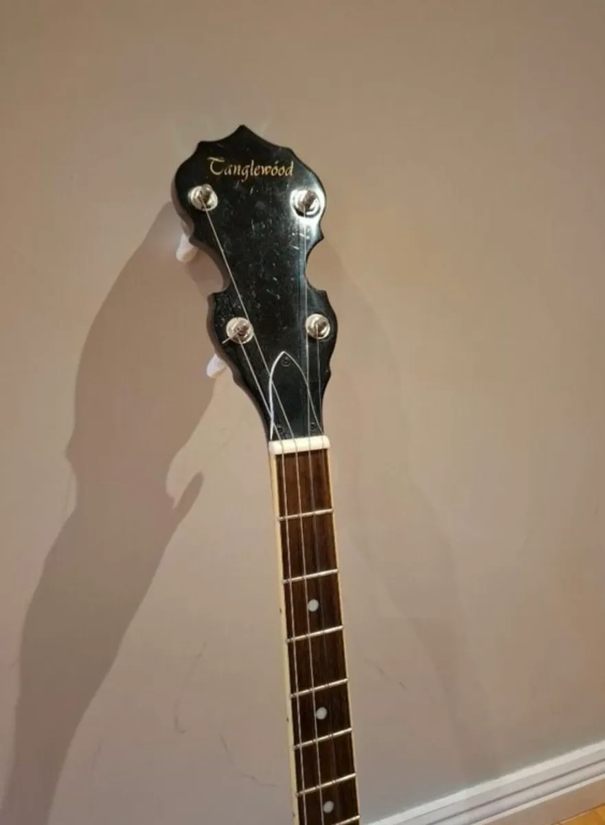Tanglewood Tenor Banjo for sale - Image 3