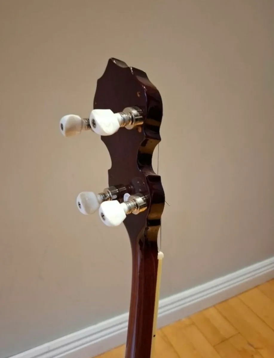 Tanglewood Tenor Banjo for sale - Image 4