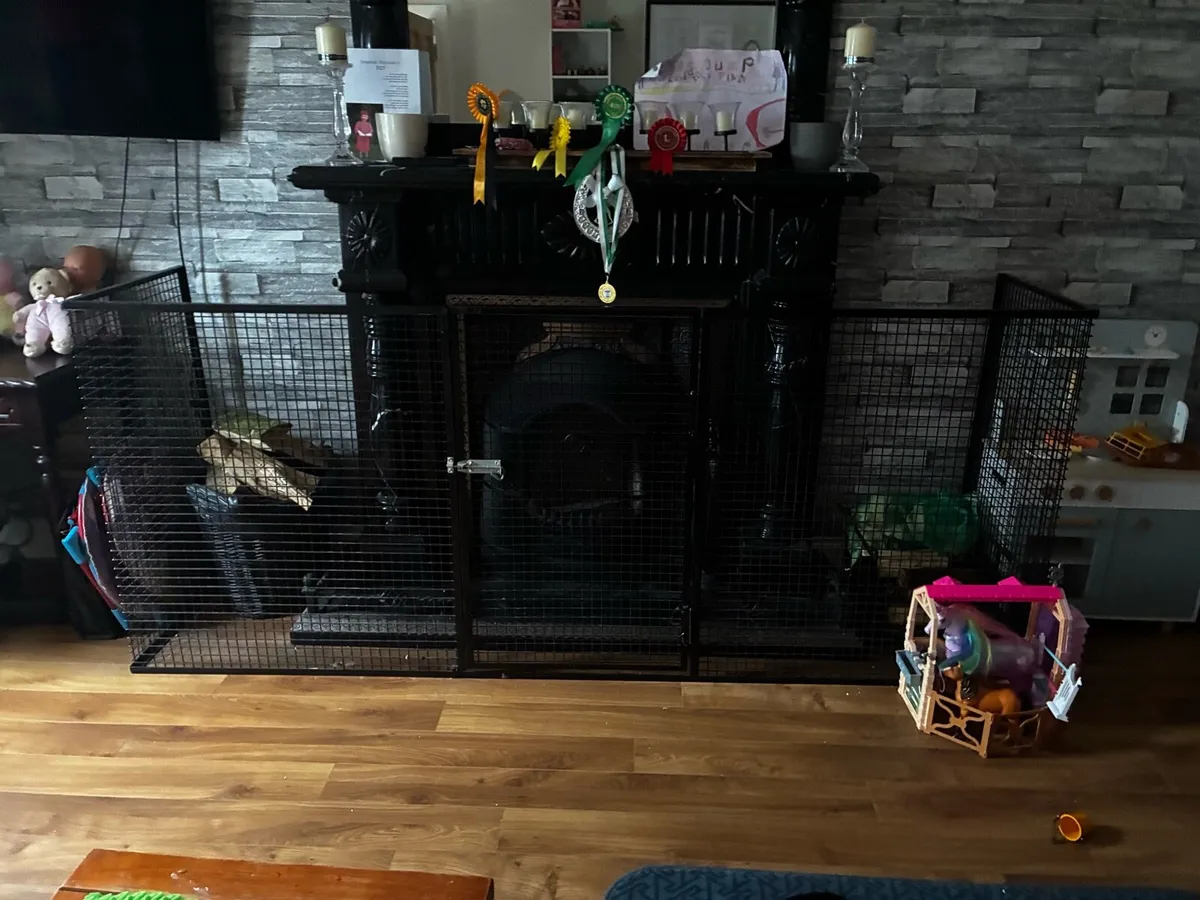 Fire Guard - Image 1