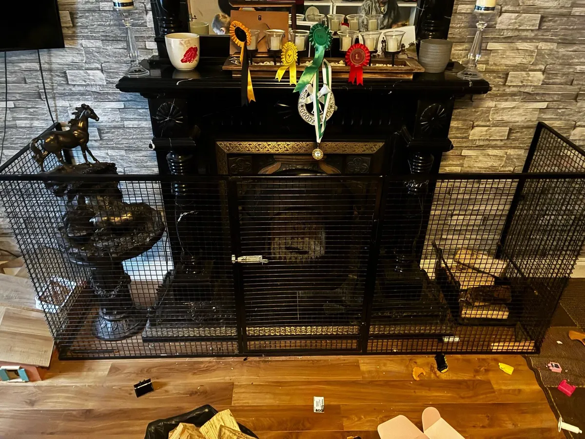 Fire Guard - Image 2