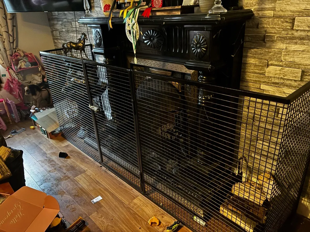 Fire Guard - Image 3