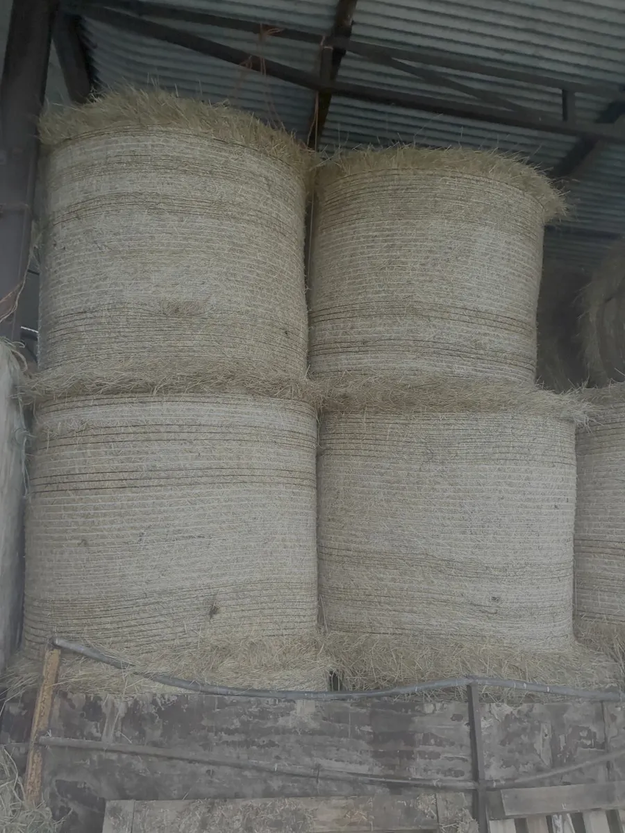 Silage, Hay & Haylage (Round Bales) - Image 3