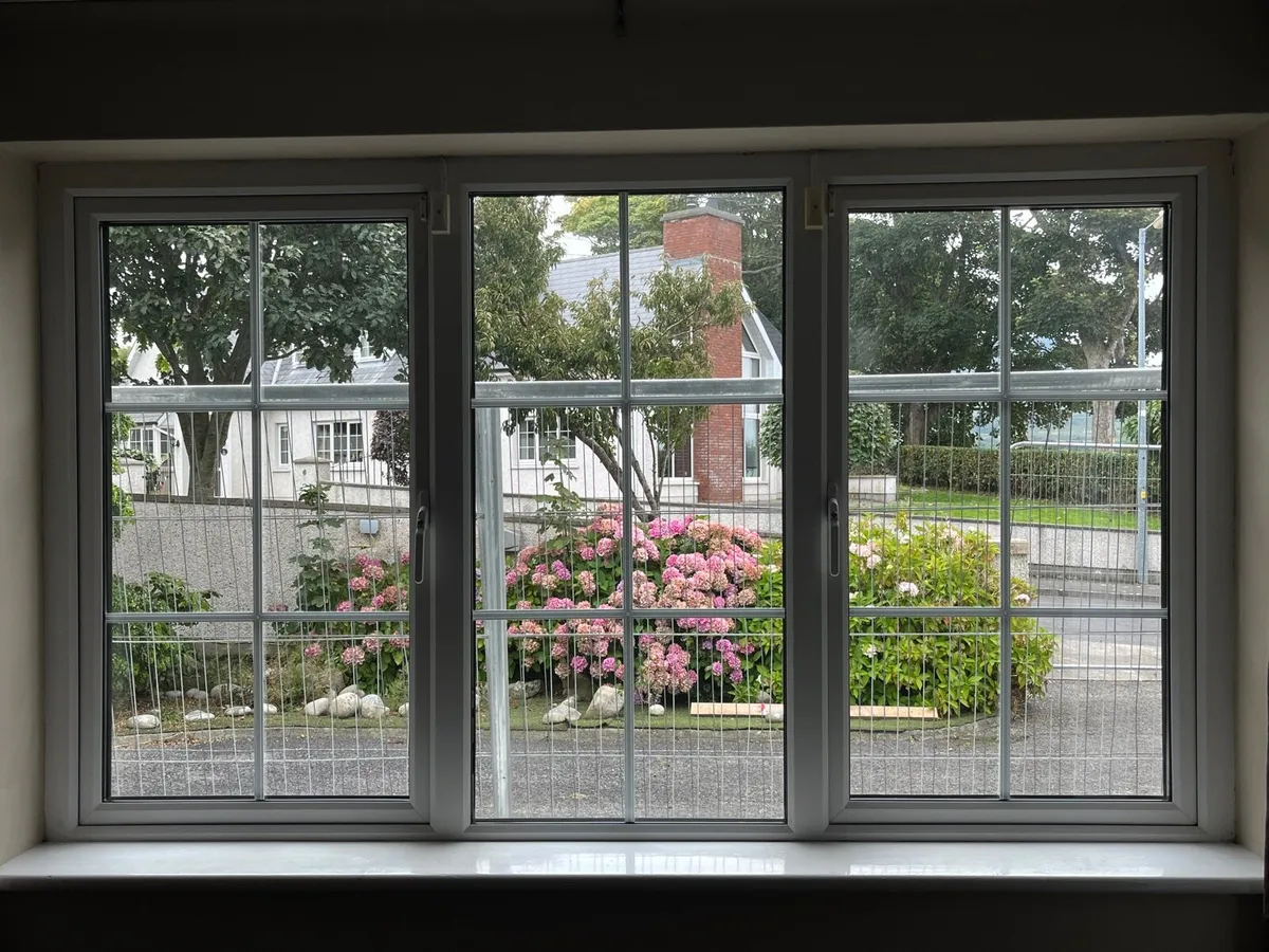 Windows and Doing - Image 4