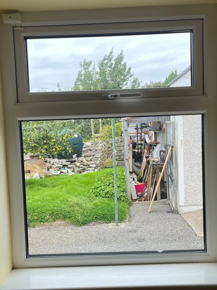 Windows and Doing - Image 2