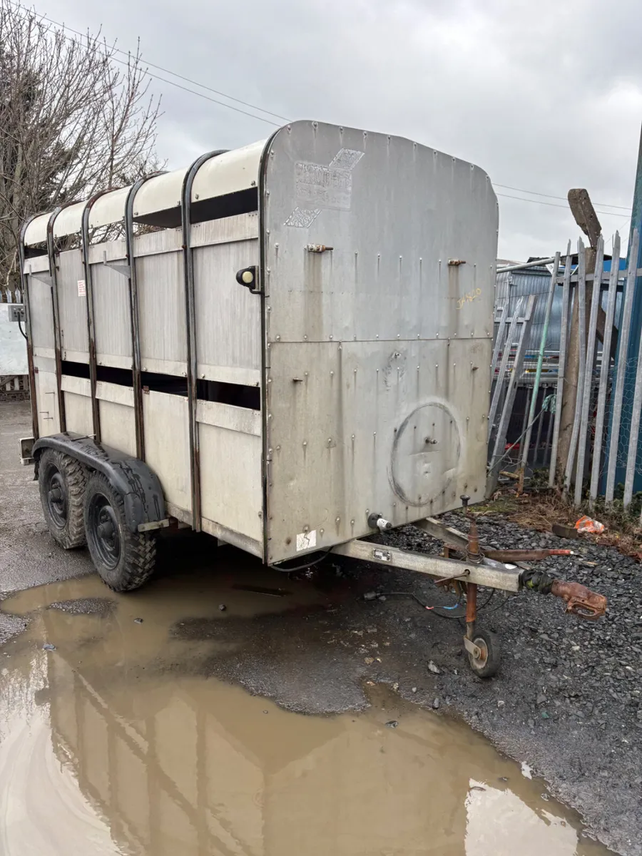 Ifor Williams 10ft cattle trailer - Image 1