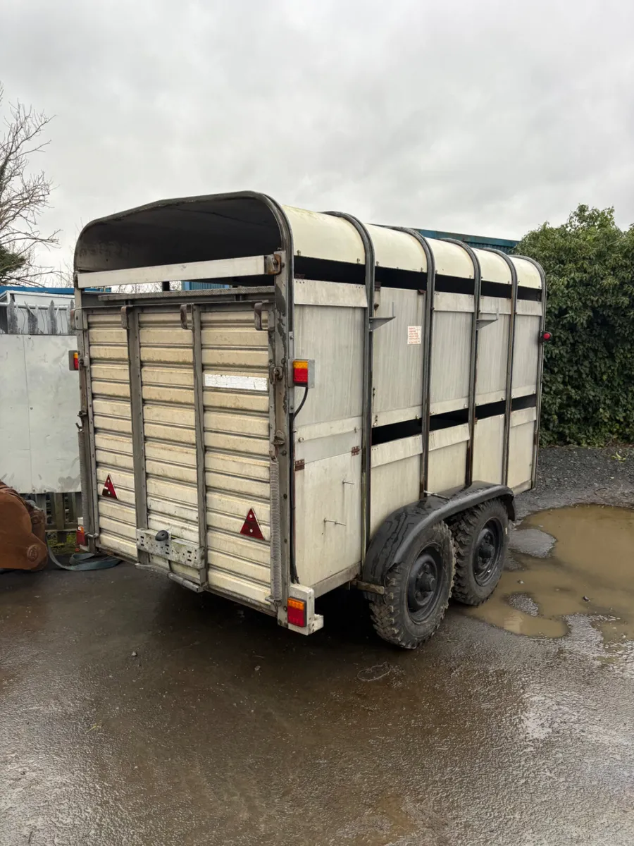 Ifor Williams 10ft cattle trailer - Image 2