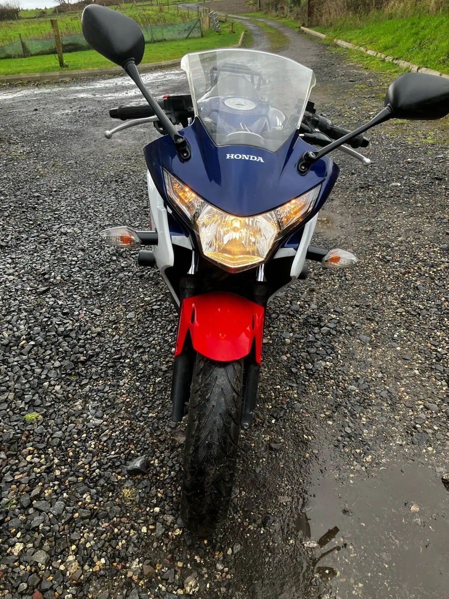 Honda CBR 250R - Image 4