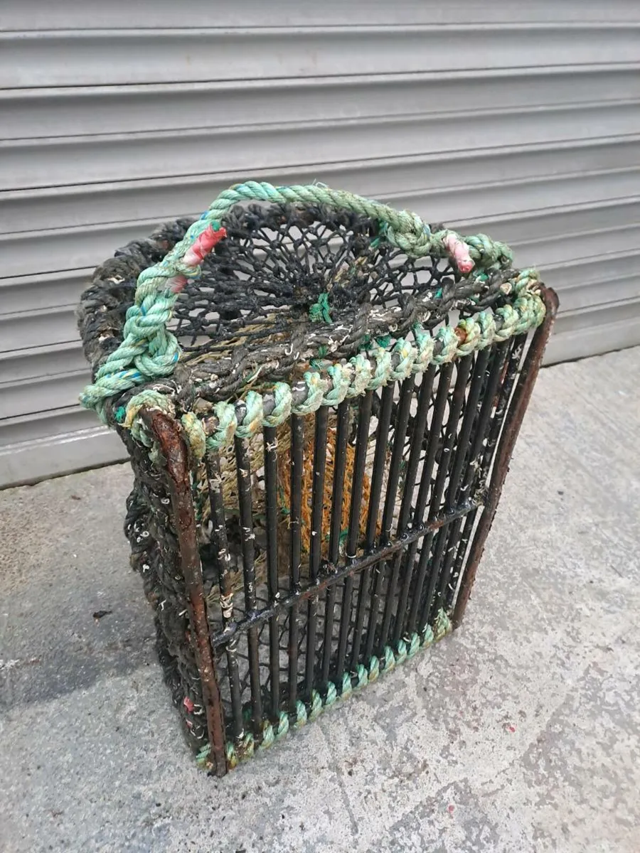30 Lobster pots - Image 2