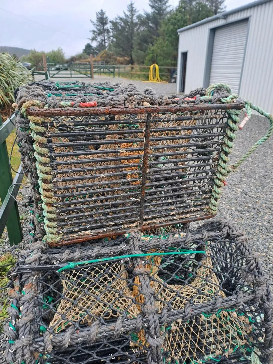 30 Lobster pots - Image 4