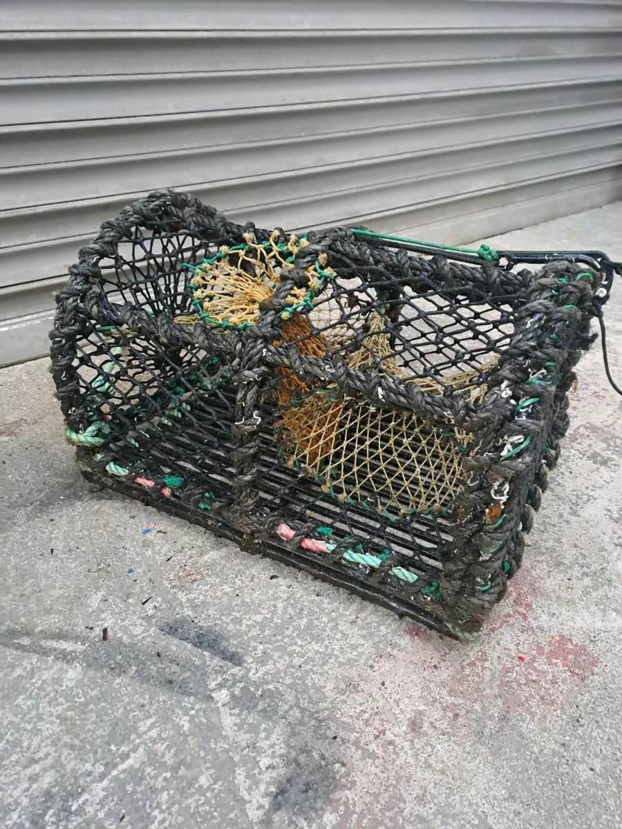 30 Lobster pots - Image 1