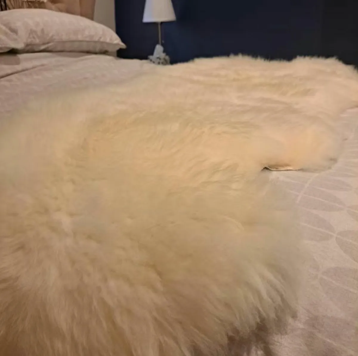 Large Sheepskin rug 100% Natural - Image 2