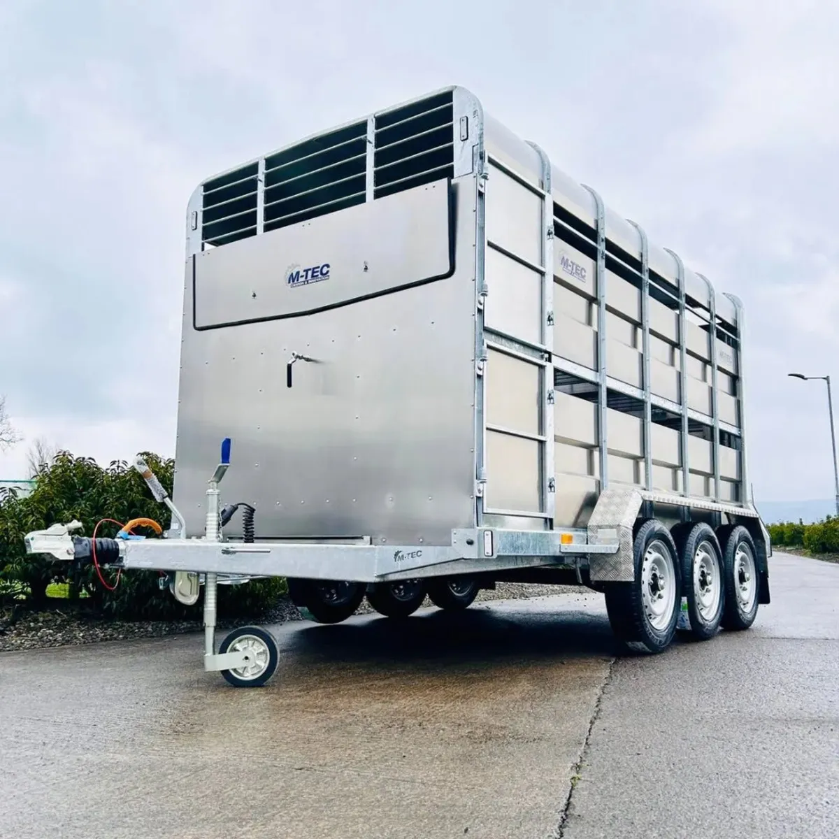 Mtec 12ft x 6ft Tri Axle Livestock Trailer - Image 2