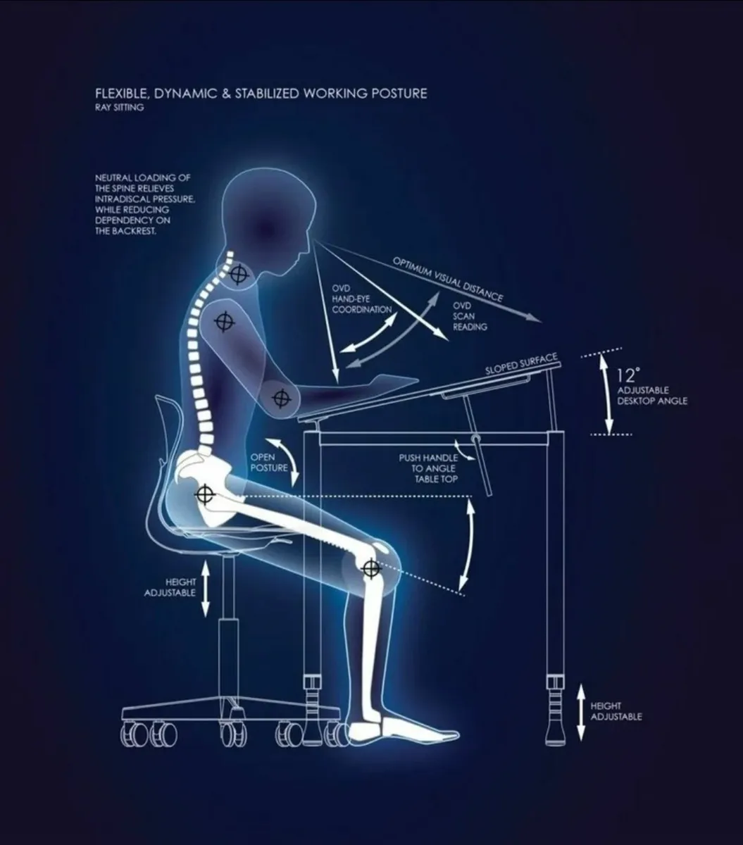 Ray Swivel Chair Standard Height - SH 500-670cm Up - Image 2
