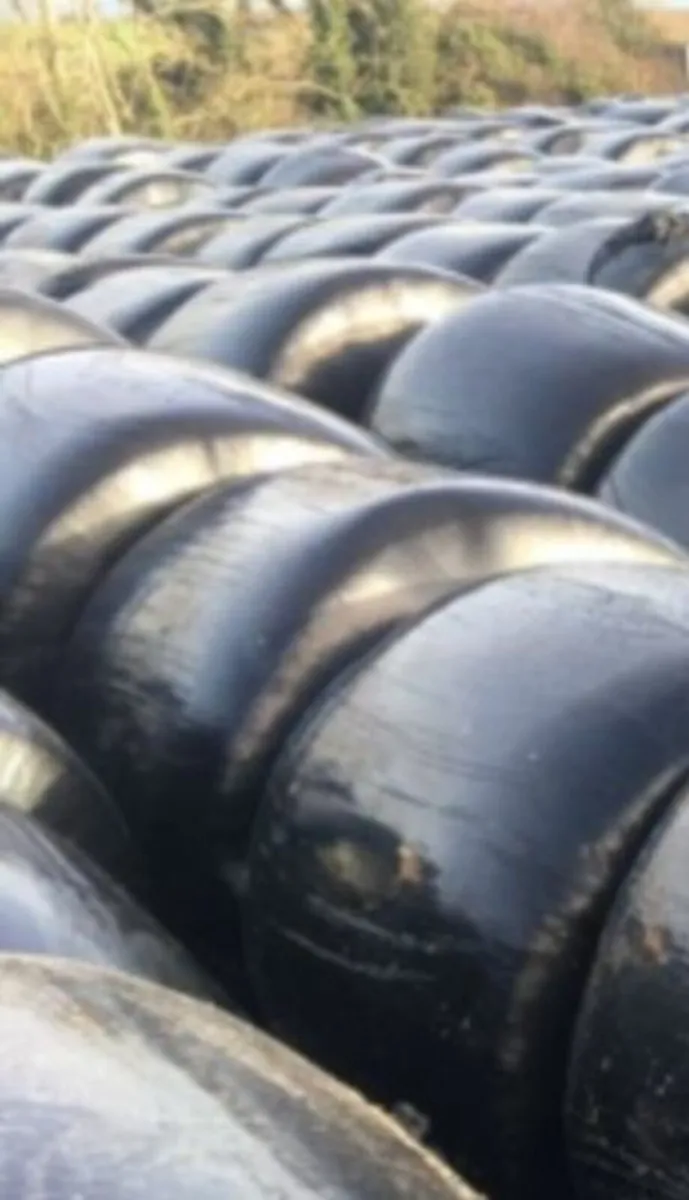 Hay and silage bales - Image 3