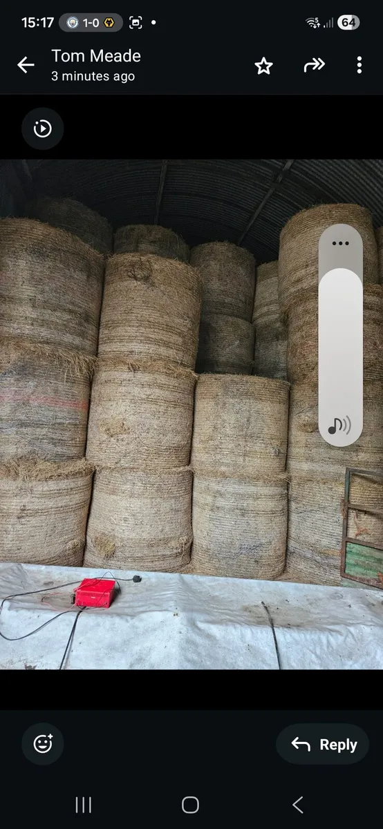 Hay - Image 2