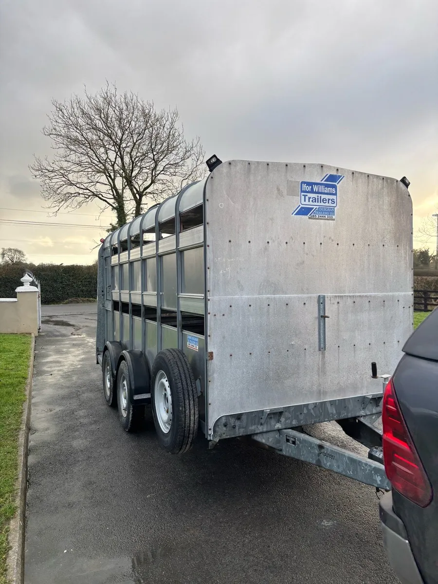 14 foot Iforwilliams trailer with decks - Image 1