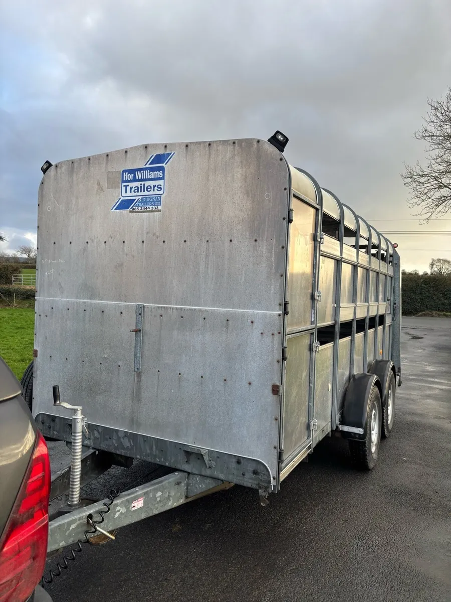 14 foot Iforwilliams trailer with decks - Image 2