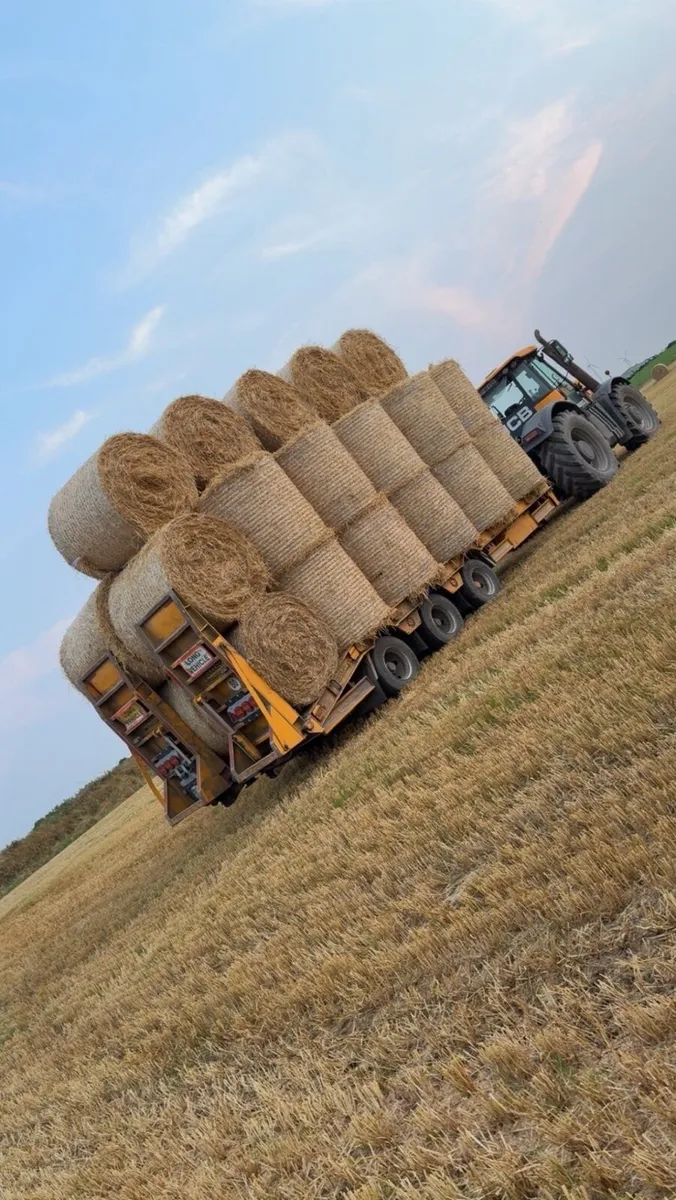 Straw  Delivery included