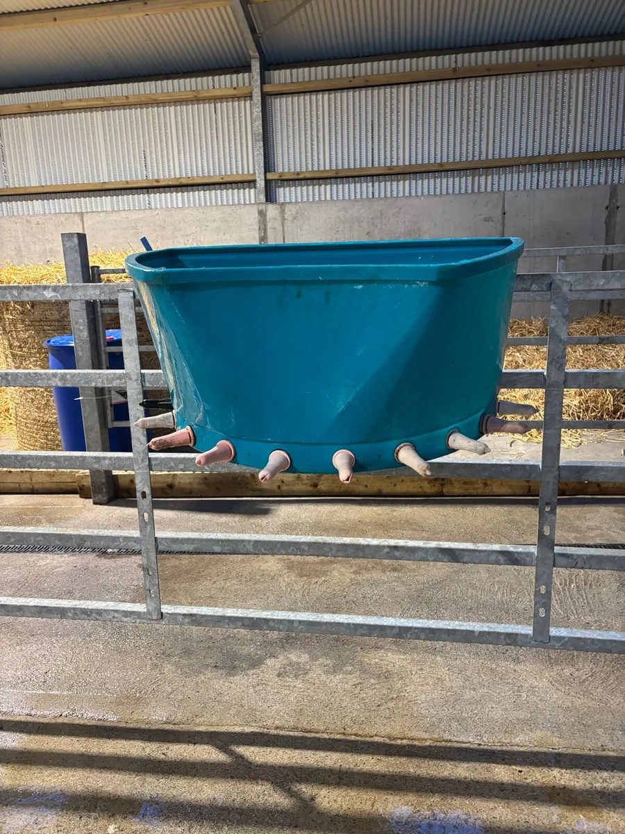 calf feeder - Image 1