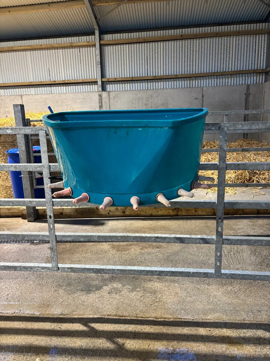 calf feeder - Image 2