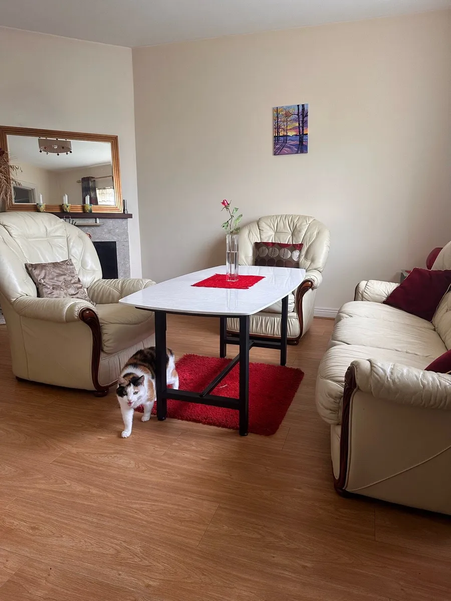 Living room set (3,2 and 2x1 seaters + table) - Image 3