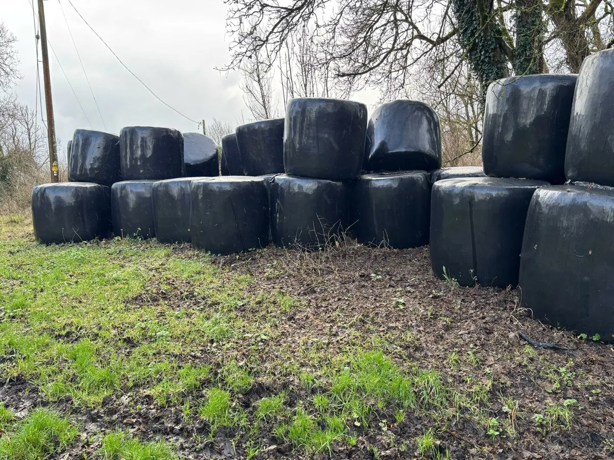 Haylage Bales - Image 2