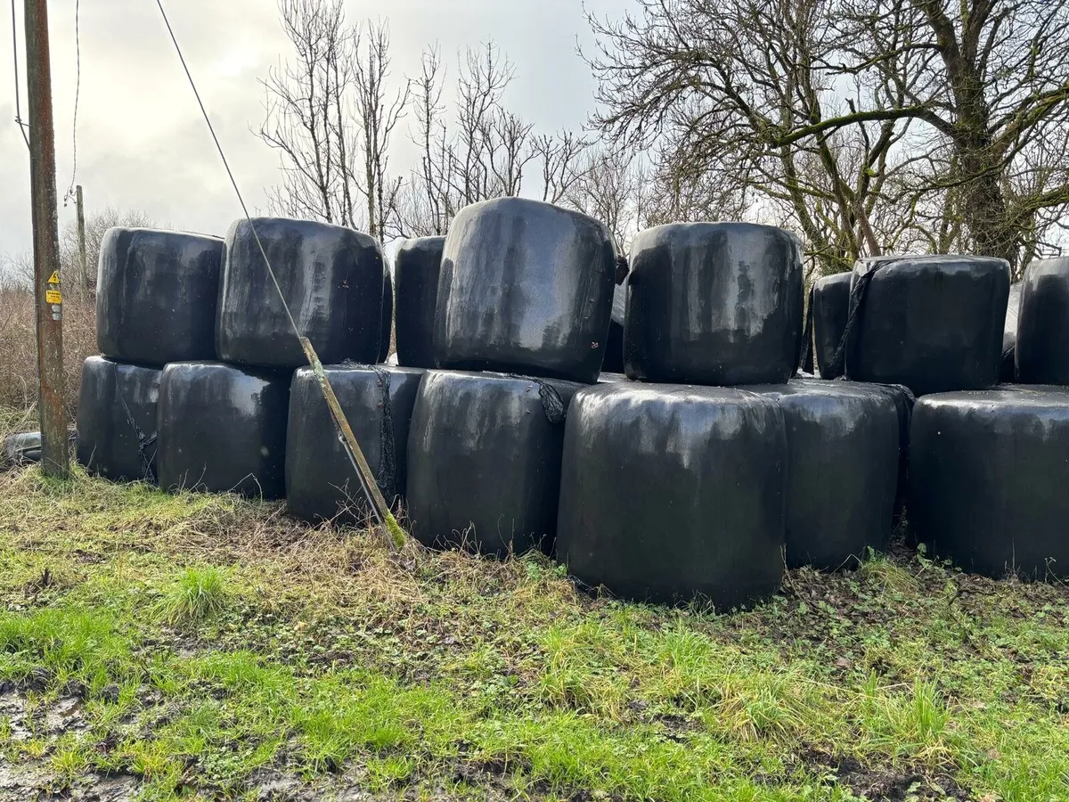 Haylage Bales - Image 1