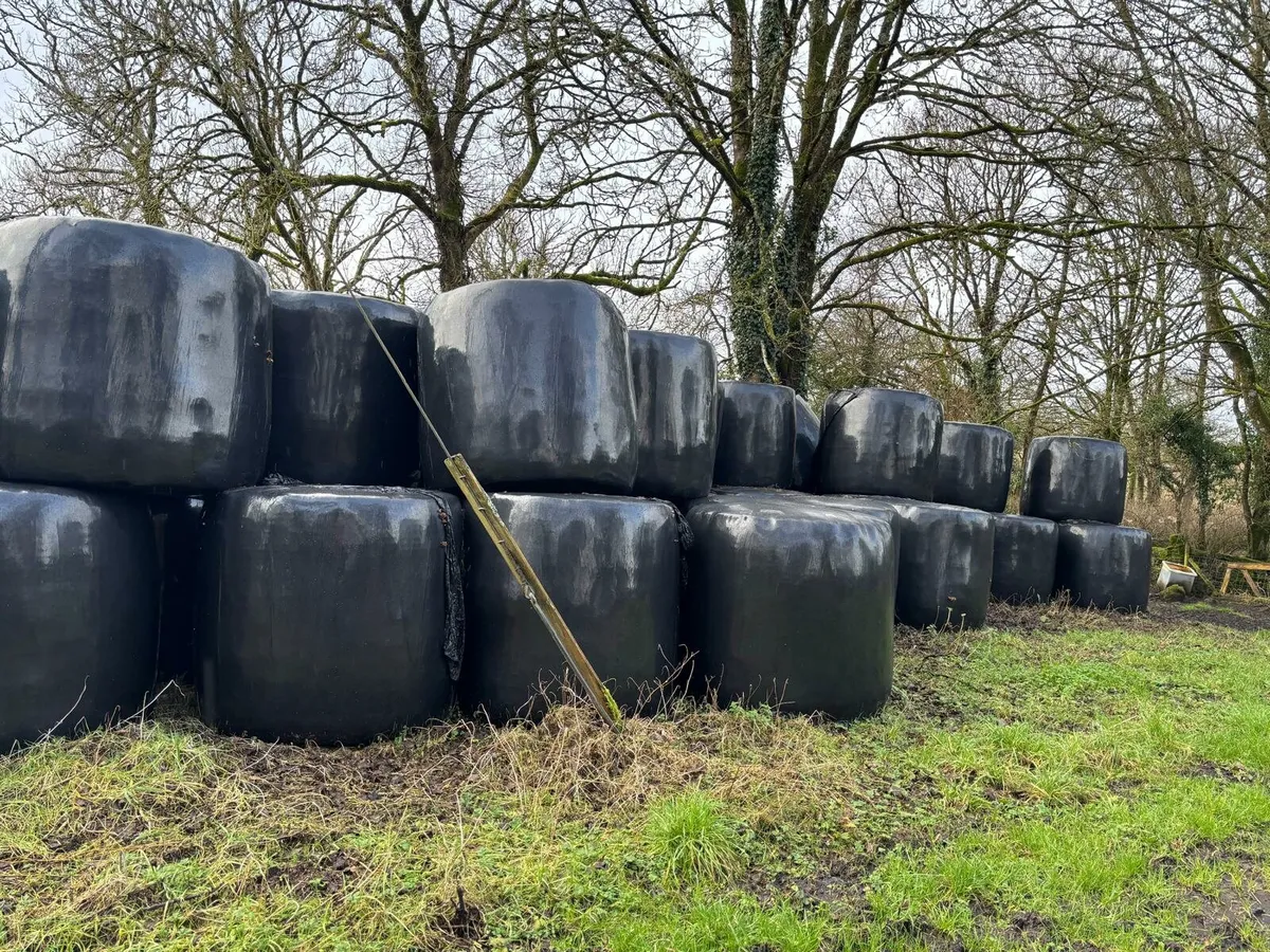Haylage Bales - Image 4