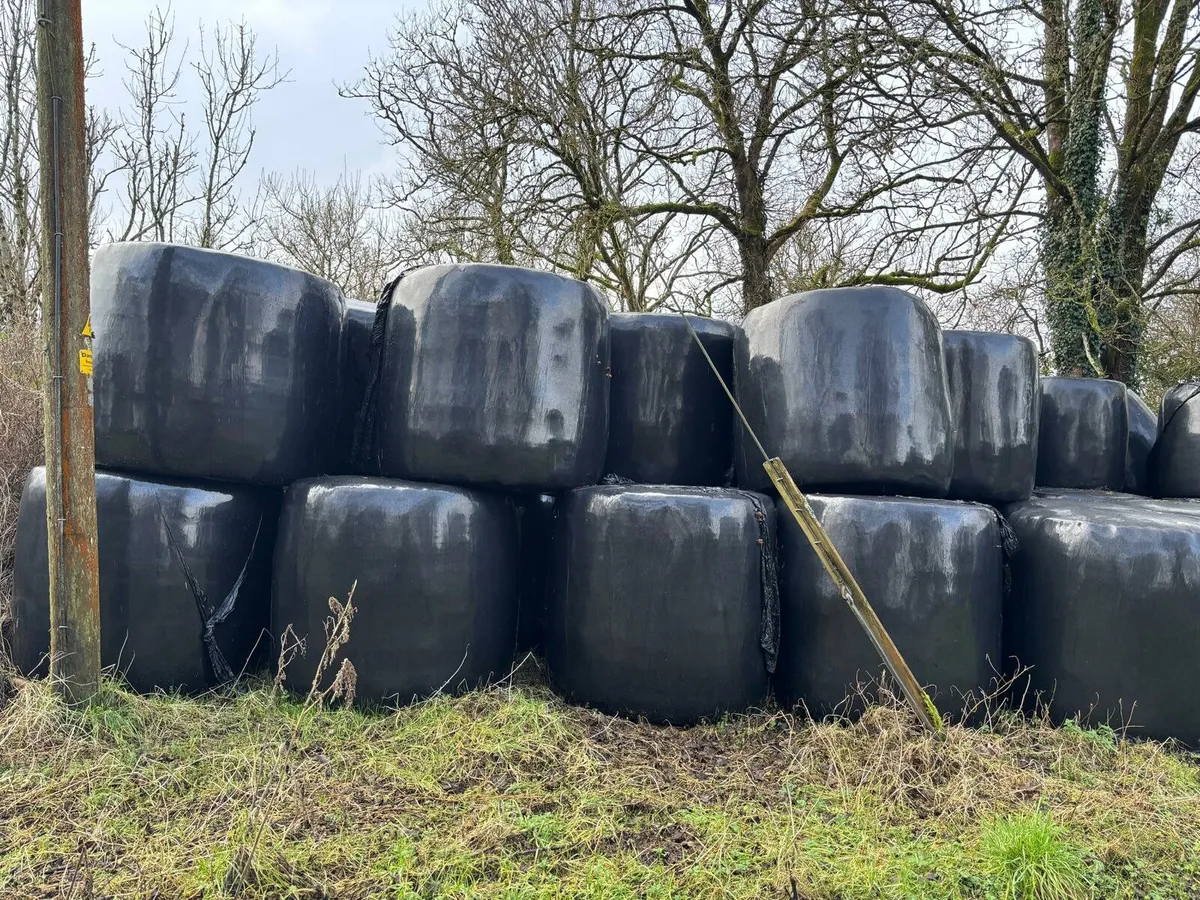 Haylage Bales - Image 3