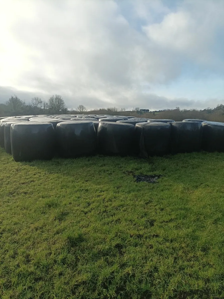 35 Silage Bales for Sale in Straide, Foxford, Mayo