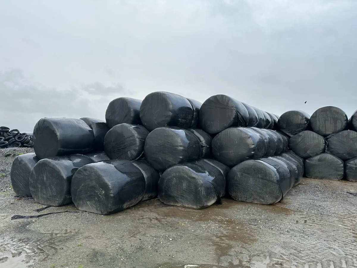 Bales of Silage