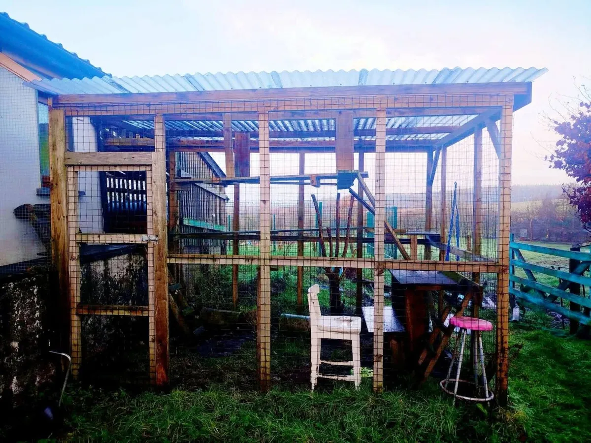 Catio/ Pet Run. - Image 2