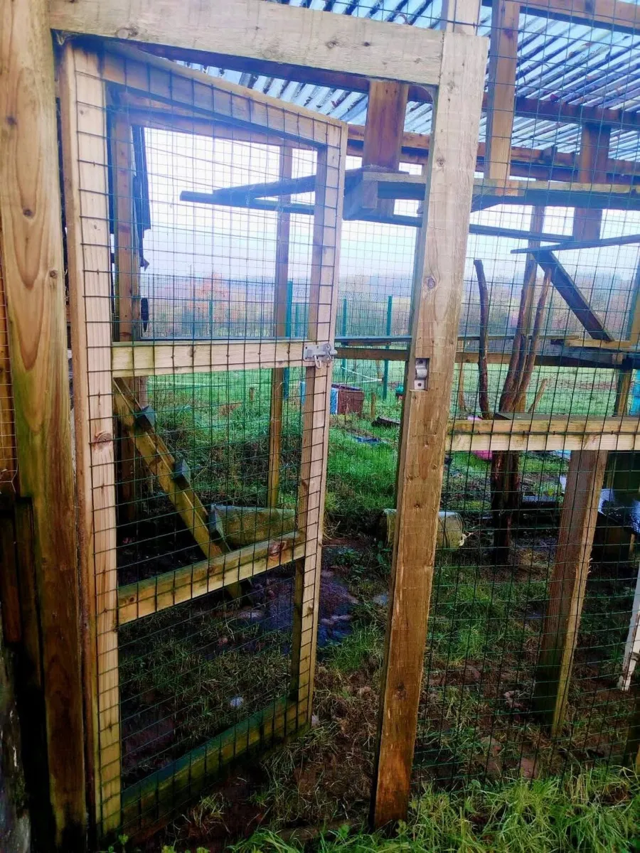 Catio/ Pet Run. - Image 3