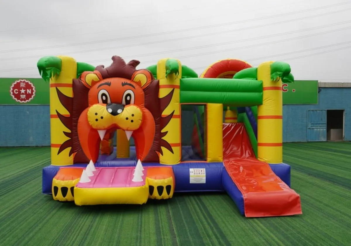 🎉 BOUNCY CASTLES FOR SALE – LIKE NEW! 🎉 - Image 2