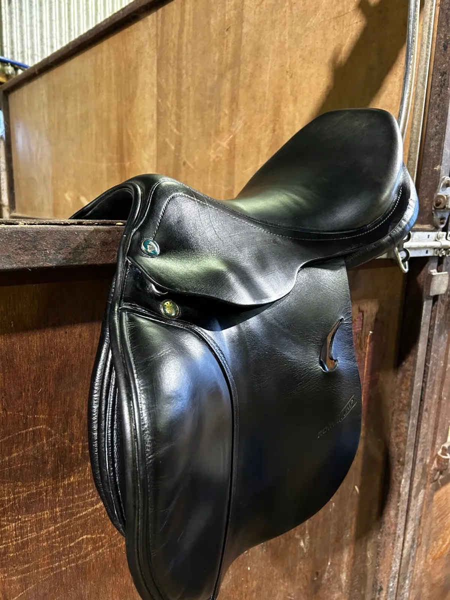 17” Prestige Roma Jump Saddle - Image 4