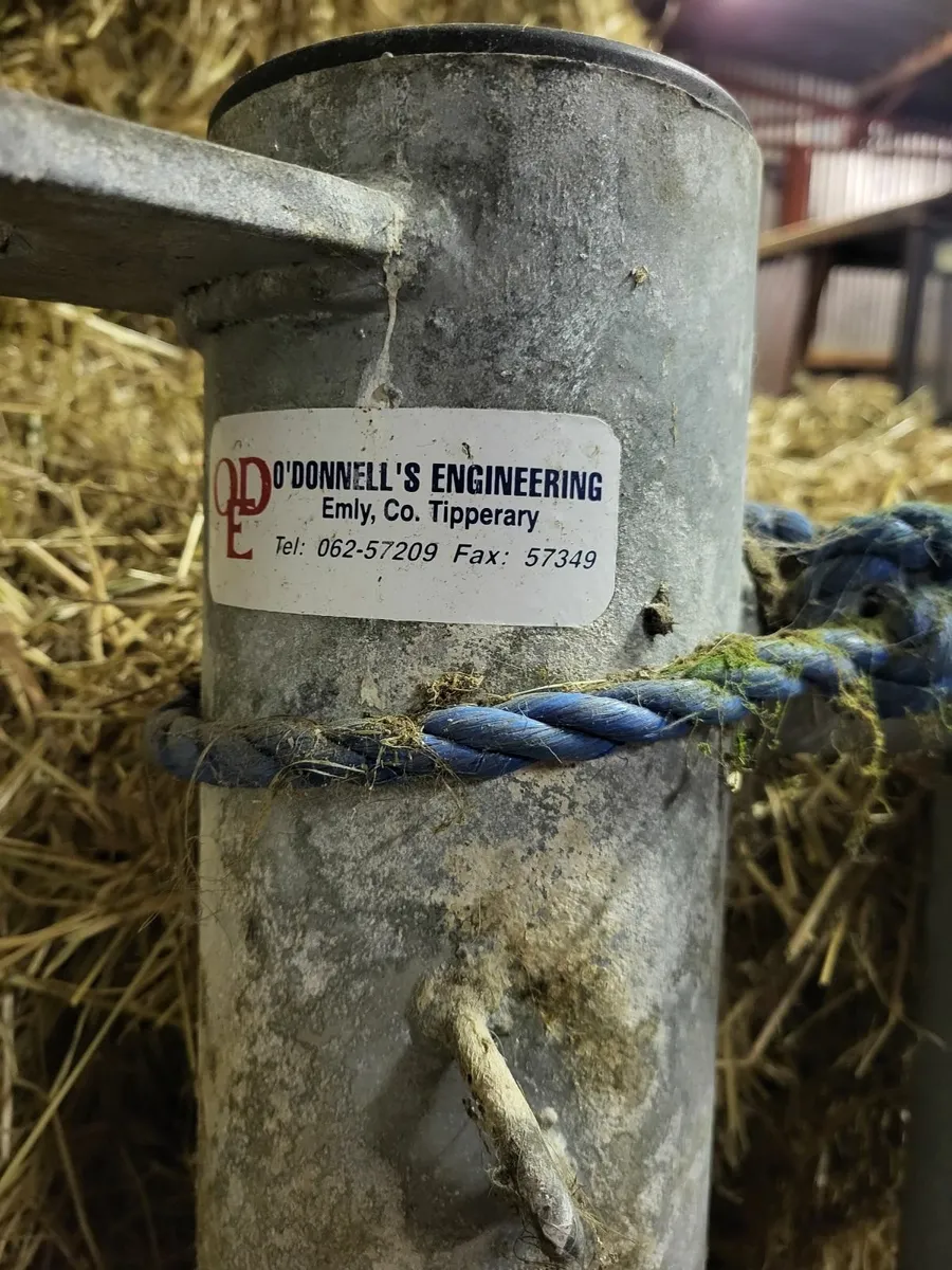 Calving Gate - Image 4