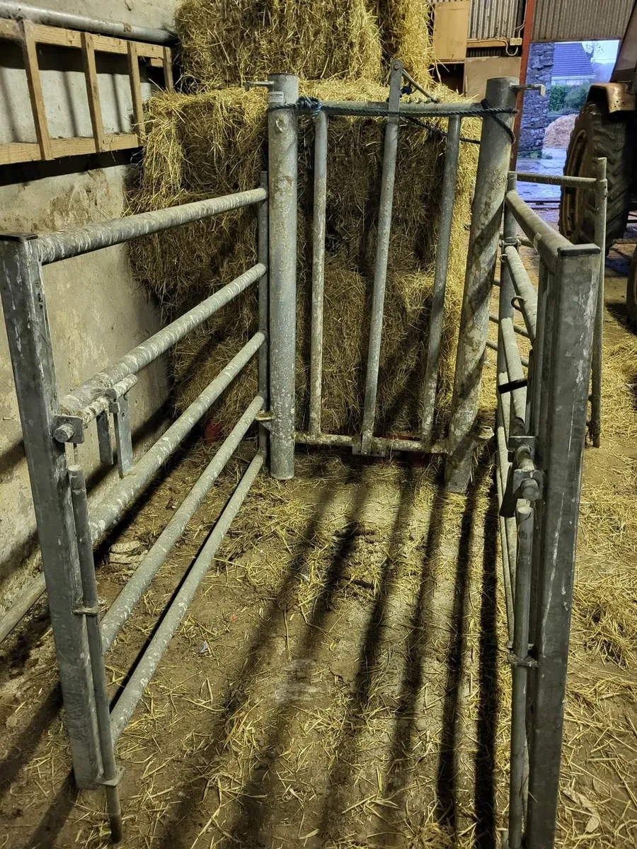 Calving Gate - Image 1