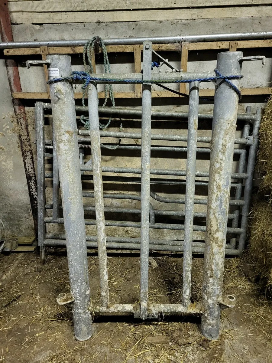 Calving Gate - Image 2