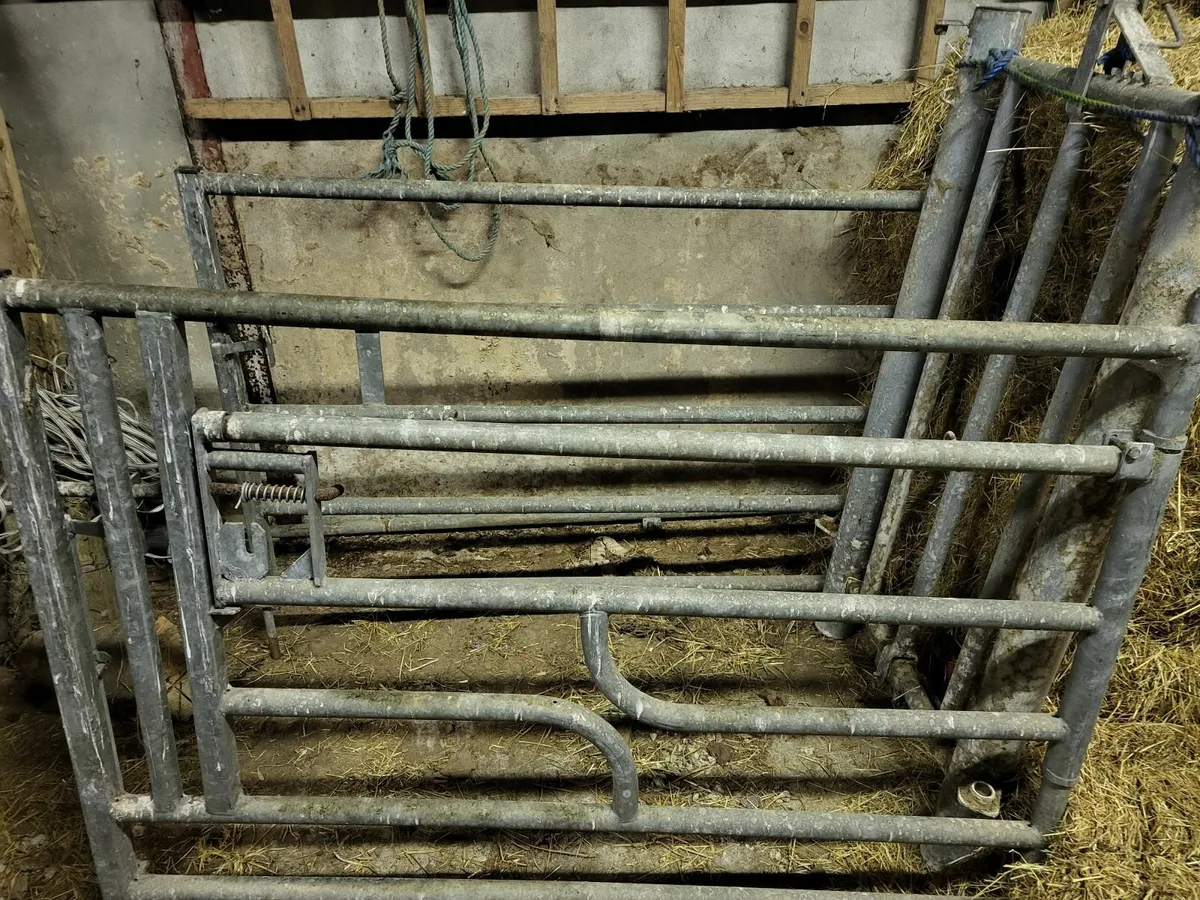 Calving Gate - Image 3